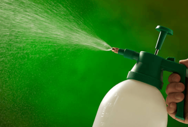 A sprayer being used in a green garden
