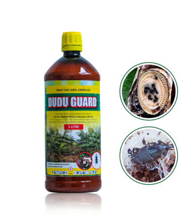Dudu Guard