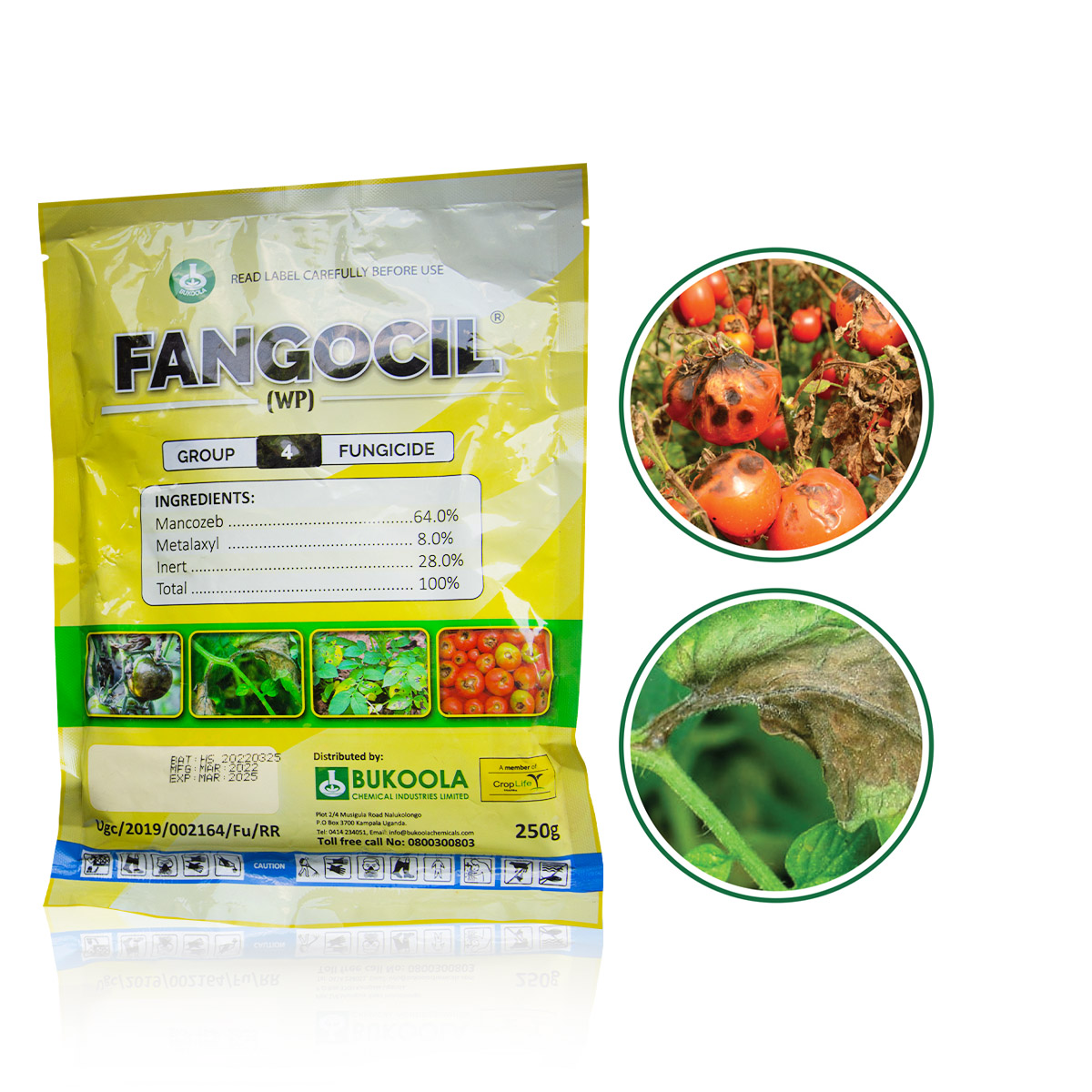 Fangocil