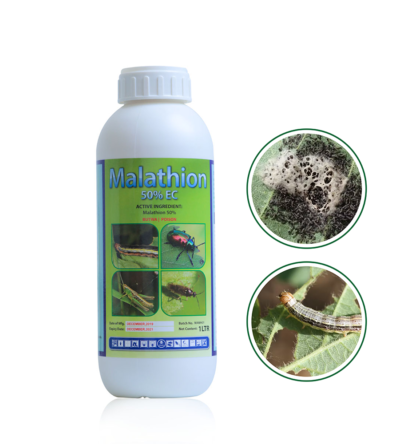 Malathion 50% EC